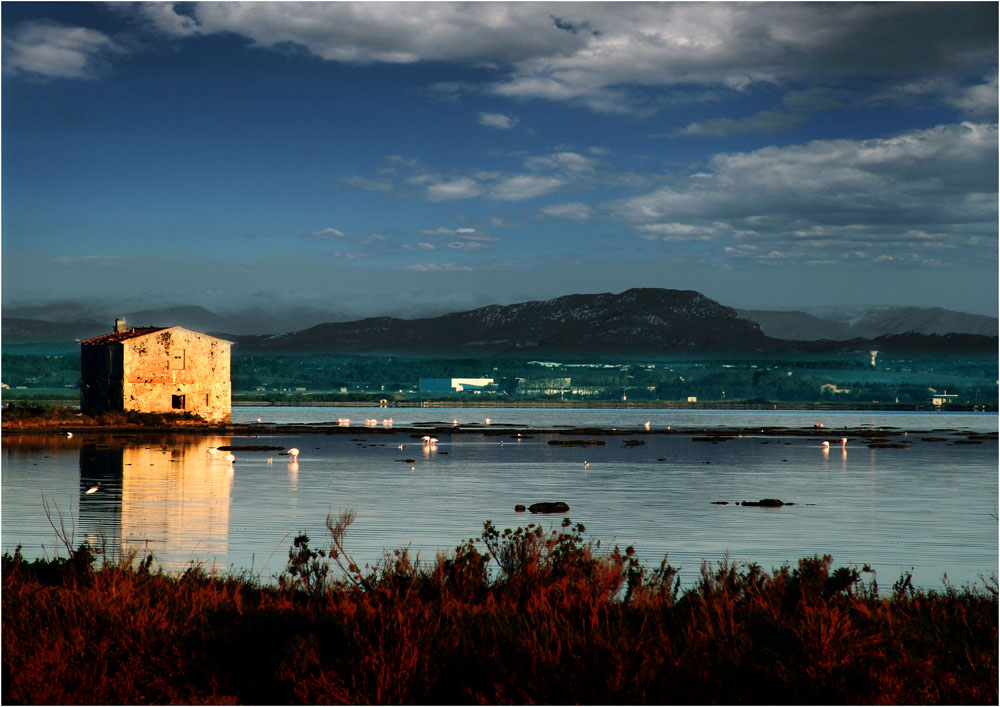 Carnon - Pic St Loup Site PiktoVision